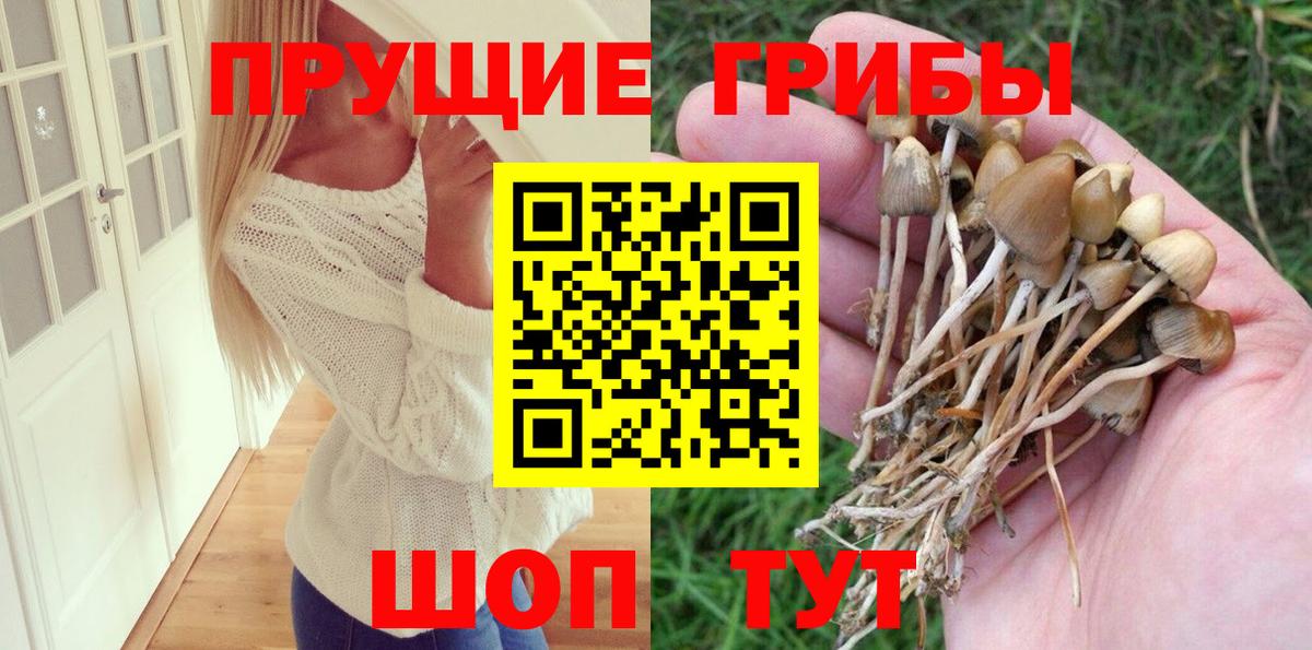 Псилоцибиновые грибы Psilocybine cubensis  купить закладку  Добрянка  Вход с VPN 