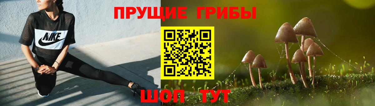 Галлюциногенные грибы Psilocybine cubensis Добрянка
